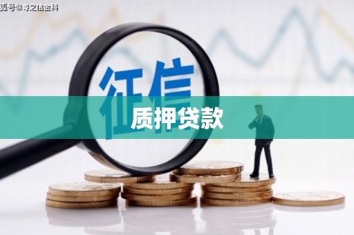 叶县质押贷款