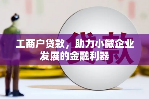 灌阳工商户贷款，助力小微企业发展的金融利器