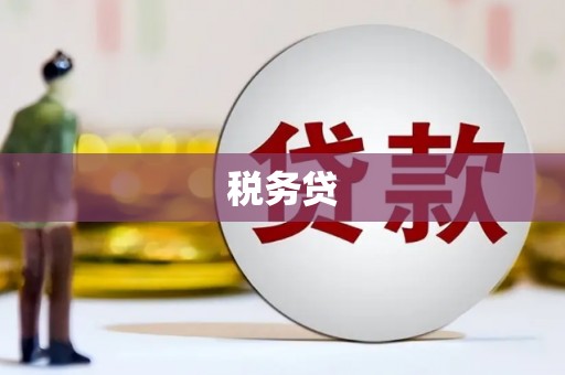 潜江税务贷