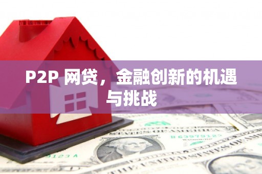望谟P2P 网贷，金融创新的机遇与挑战