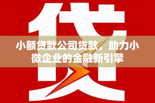 颍泉小额贷款公司贷款，助力小微企业的金融新引擎