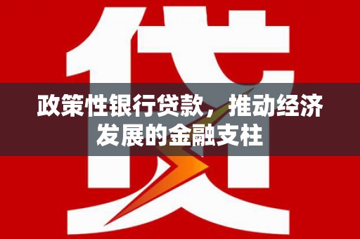 江永政策性银行贷款，推动经济发展的金融支柱
