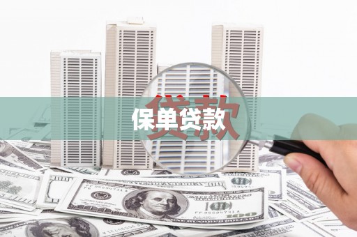 兴山保单贷款