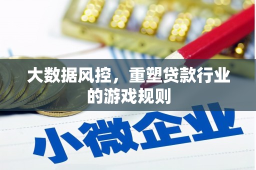 泽库大数据风控，重塑贷款行业的游戏规则