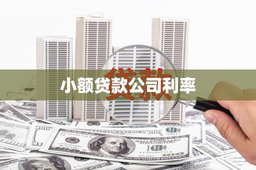 燕郊小额贷款公司利率
