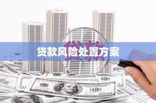 姑苏贷款风险处置方案