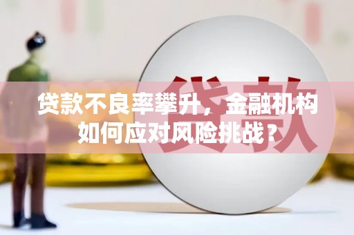 澎湖贷款不良率攀升，金融机构如何应对风险挑战？
