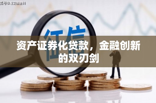 芦竹资产证券化贷款，金融创新的双刃剑