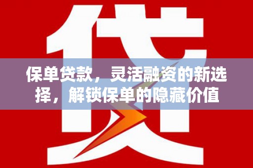 二水保单贷款，灵活融资的新选择，解锁保单的隐藏价值