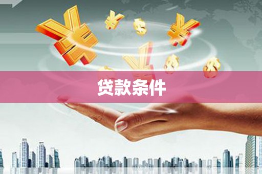 金阳贷款条件