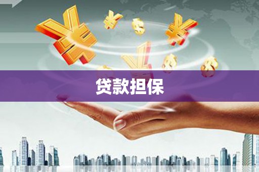 武江贷款担保