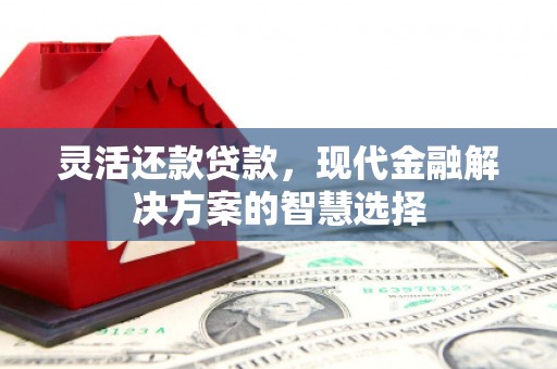 日喀则灵活还款贷款，现代金融解决方案的智慧选择