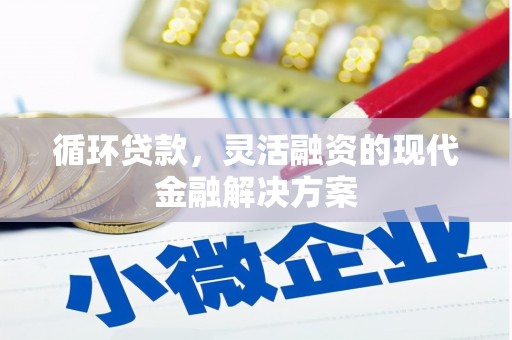 余江循环贷款，灵活融资的现代金融解决方案