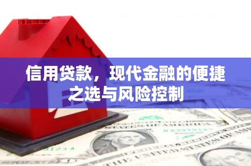 莎车信用贷款，现代金融的便捷之选与风险控制
