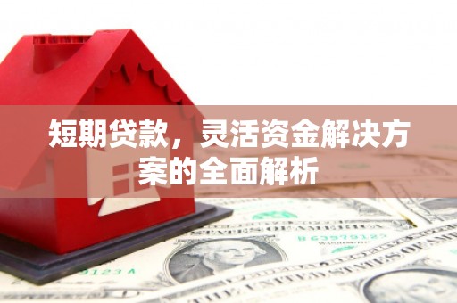 达孜短期贷款，灵活资金解决方案的全面解析