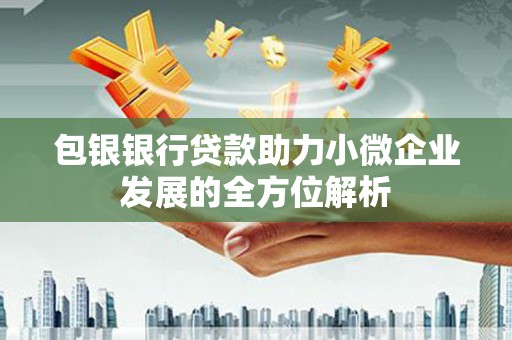 乳源包银银行贷款助力小微企业发展的全方位解析