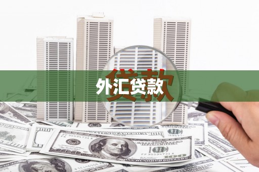 澳门半岛外汇贷款
