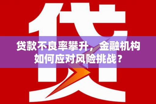 佳冬贷款不良率攀升，金融机构如何应对风险挑战？