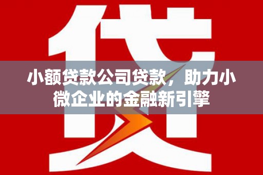 新晃小额贷款公司贷款，助力小微企业的金融新引擎