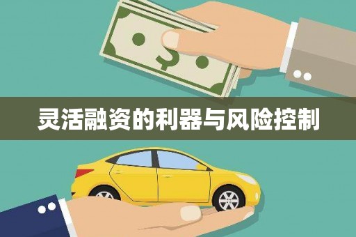明溪灵活融资的利器与风险控制
