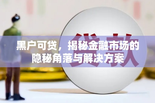 越城黑户可贷，揭秘金融市场的隐秘角落与解决方案