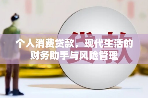 西林个人消费贷款，现代生活的财务助手与风险管理