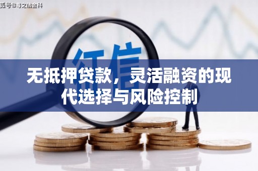 东西湖无抵押贷款，灵活融资的现代选择与风险控制