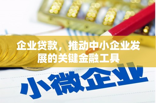 乐东企业贷款，推动中小企业发展的关键金融工具