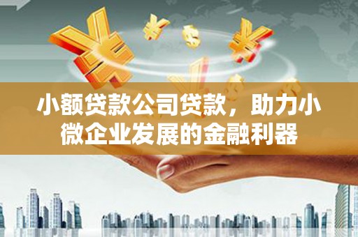 洋县小额贷款公司贷款，助力小微企业发展的金融利器