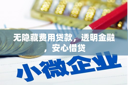 大村无隐藏费用贷款，透明金融，安心借贷