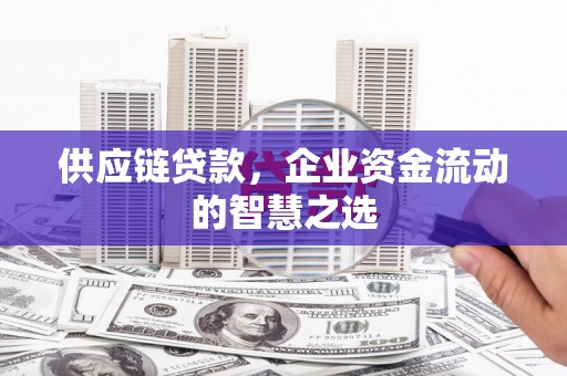 肥乡供应链贷款，企业资金流动的智慧之选