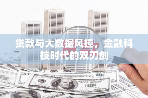 保税港区贷款与大数据风控，金融科技时代的双刃剑