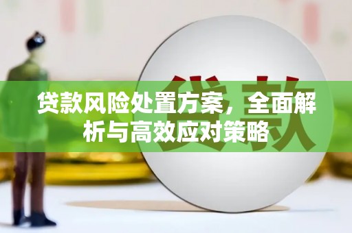 城关贷款风险处置方案，全面解析与高效应对策略