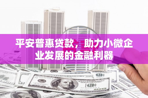 荔浦平安普惠贷款，助力小微企业发展的金融利器