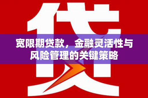 镜湖宽限期贷款，金融灵活性与风险管理的关键策略