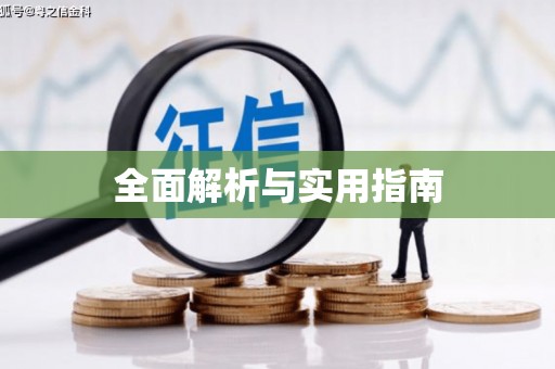 临县全面解析与实用指南