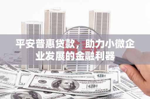 广宗平安普惠贷款，助力小微企业发展的金融利器