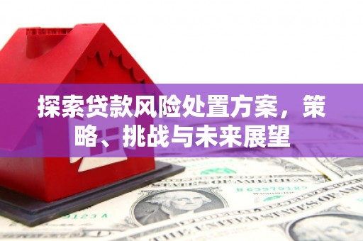 启东探索贷款风险处置方案，策略、挑战与未来展望