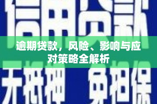 玛沁逾期贷款，风险、影响与应对策略全解析