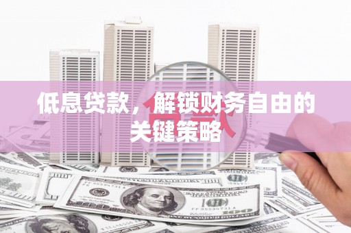 乌什低息贷款，解锁财务自由的关键策略