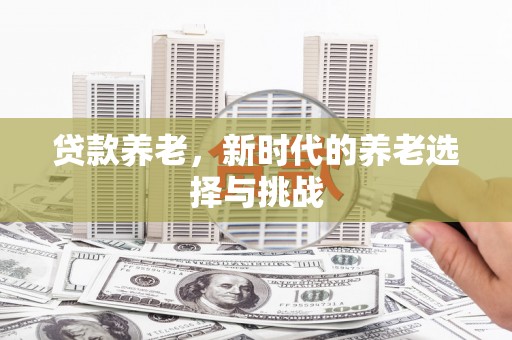 佳里贷款养老，新时代的养老选择与挑战
