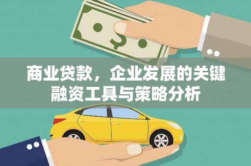 阿鲁科尔沁旗商业贷款，企业发展的关键融资工具与策略分析