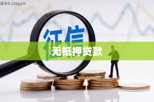 新林无抵押贷款