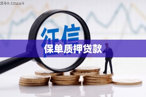 金水保单质押贷款