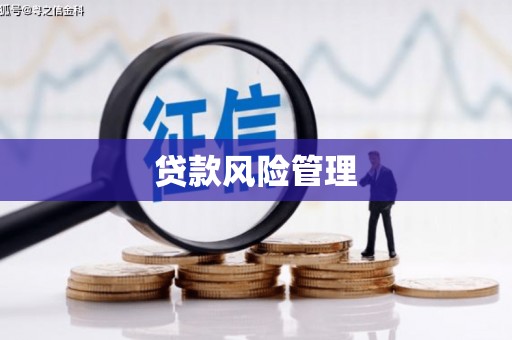 巴音郭楞蒙古贷款风险管理