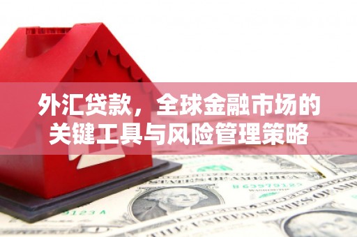中西外汇贷款，全球金融市场的关键工具与风险管理策略