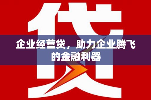阳谷企业经营贷，助力企业腾飞的金融利器