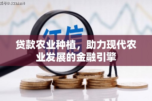 崖州贷款农业种植，助力现代农业发展的金融引擎