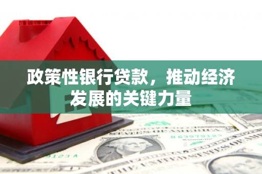 瑞芳政策性银行贷款，推动经济发展的关键力量