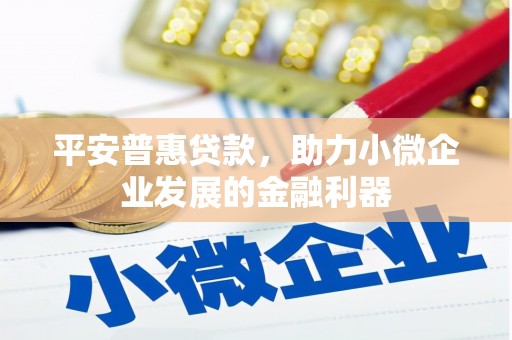 万里平安普惠贷款，助力小微企业发展的金融利器